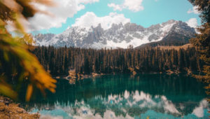 Lorem ipsum dolor sit amet consectetur adipiscing elit